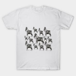 Miniature Schnauzer T-Shirt